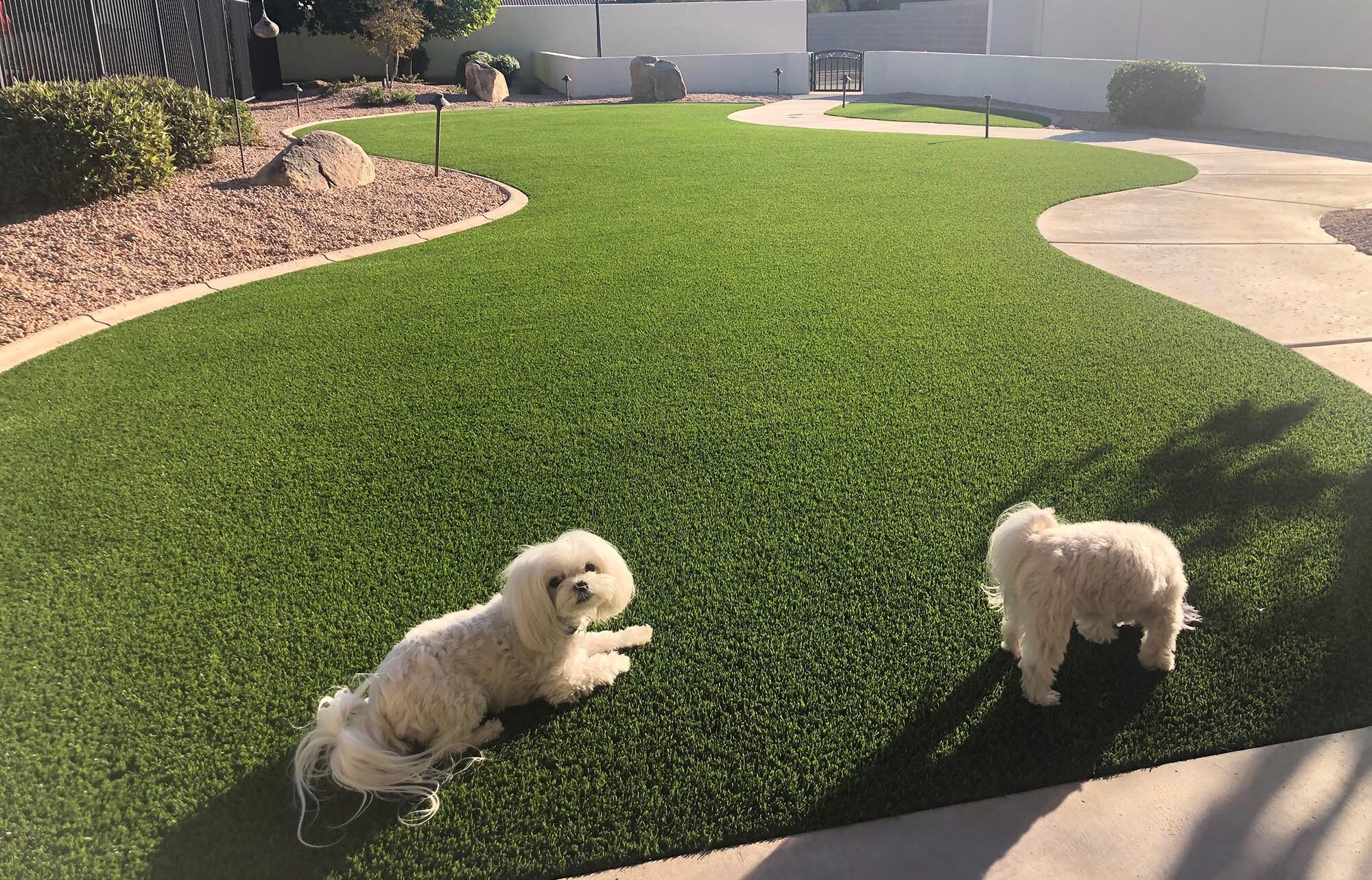 Pet Friendly Artificial Turf Installation